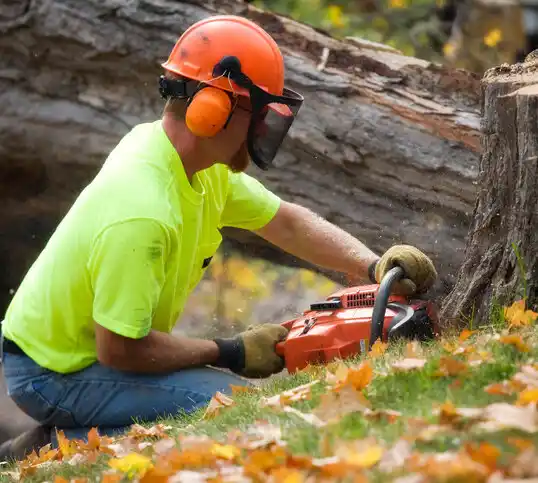 tree services Englishtown